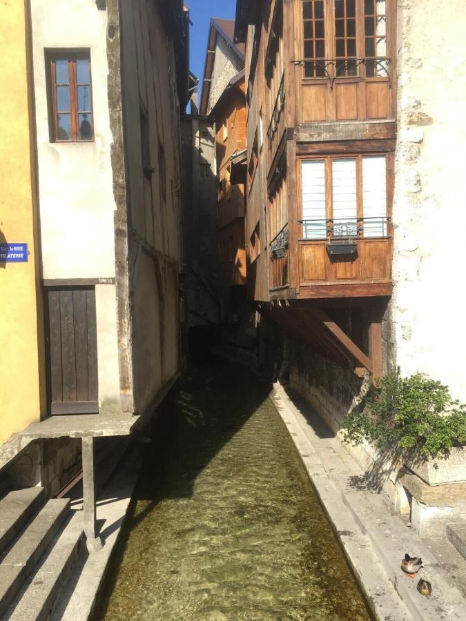 Edelweiss Apartment Annecy Bagian luar foto